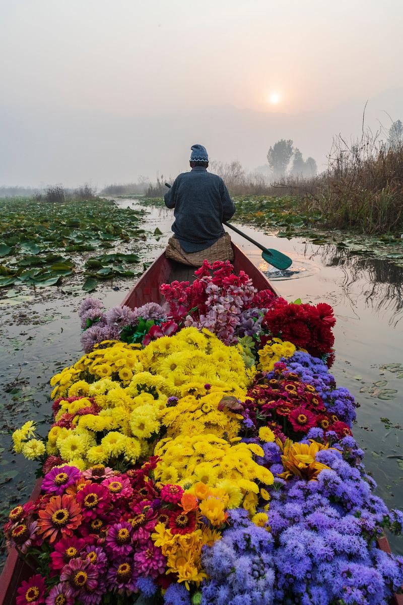 Flower Seller Paddling his Shikara at Dawn